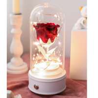 2020 Preserved Flowers crystal mini portable bluetooth speaker small portable speaker